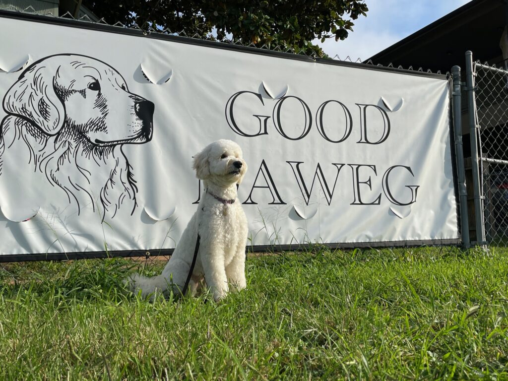 Good DaweG dog training facility with dog standing in front of sign in Houston TX