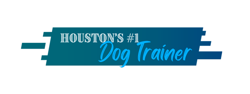 Good-DaweG-best-dog-trainer-in-Houston-sticker-blue